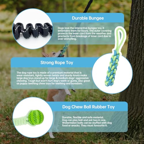 Adjustable Bungee Tugger Toy with Chew Ropes for Dogs