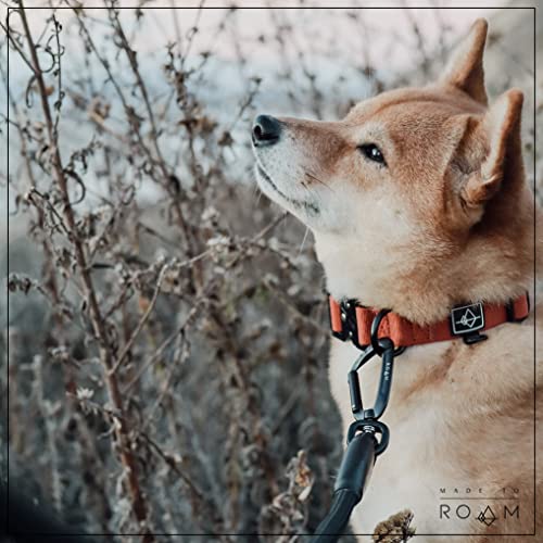 ROAM Premium Adjustable Dog Collar - Heavy Duty
