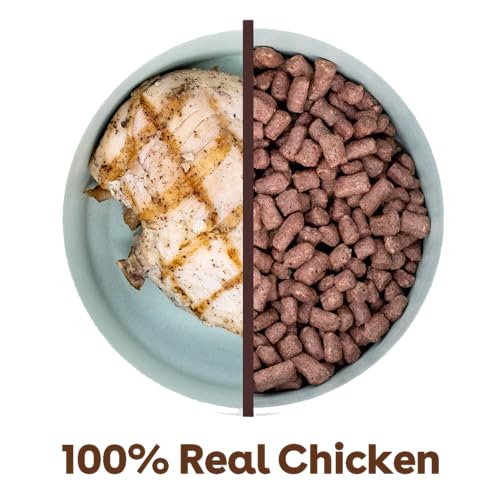 Pupford Freeze Dried Dog Training Treats - All-Natural, Vet Approved