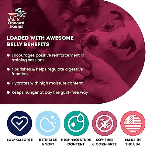 Onward Hound Salmon Training Treats - Low Calorie, Sensitive Stomach - 10 oz