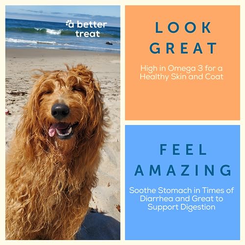 Organic Pumpkin, Wild Salmon, Beef, Chicken Treats | USA Made