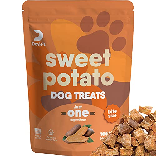 Sweet Potato Dog Training Treats - Perfect Vegan Chew