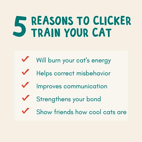 Cat Training Kit - Clicker, Stick, Pouch, Guide