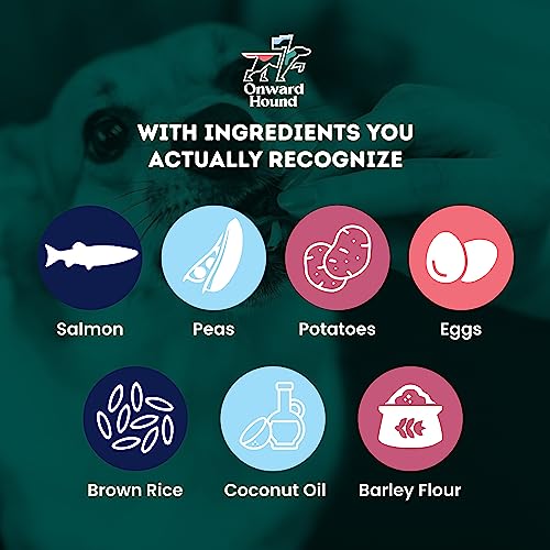 Onward Hound Salmon Training Treats - Low Calorie, Sensitive Stomach - 10 oz