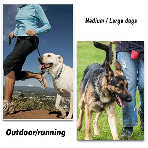 Leather Braided Dog Leash | Durable, Soft, Training