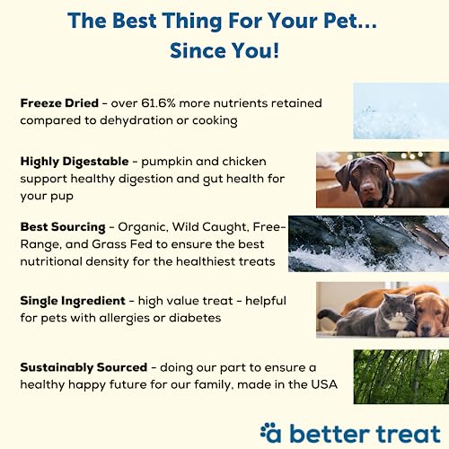 Organic Pumpkin, Wild Salmon, Beef, Chicken Treats | USA Made