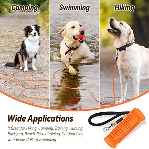Heavy Duty Dog Leash