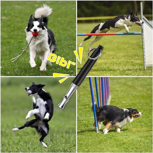 6 Pack Dog Whistle - Stop Neighbor's Barking!