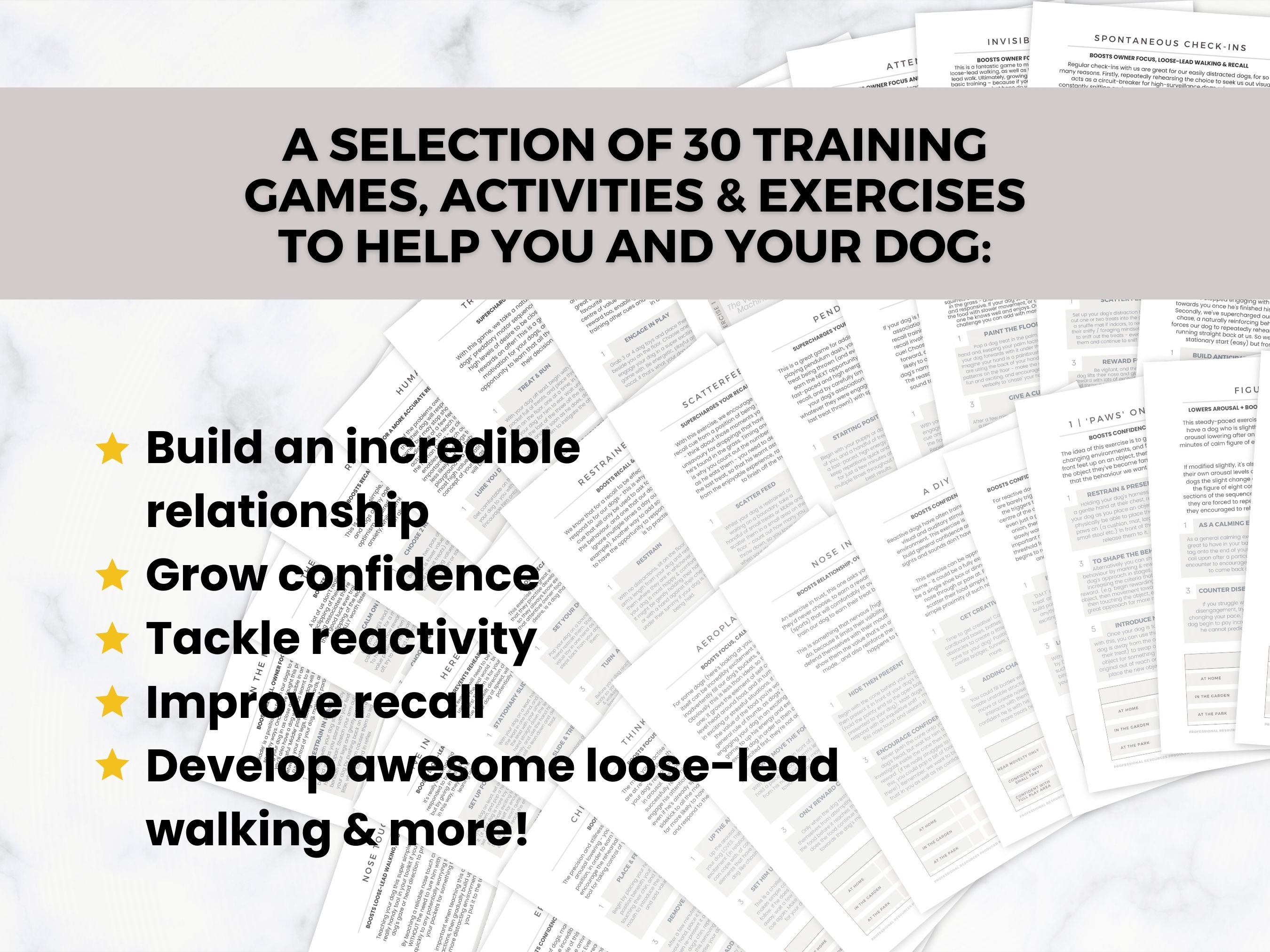 Customize Your Dog's Training Plan with 30 Exercises