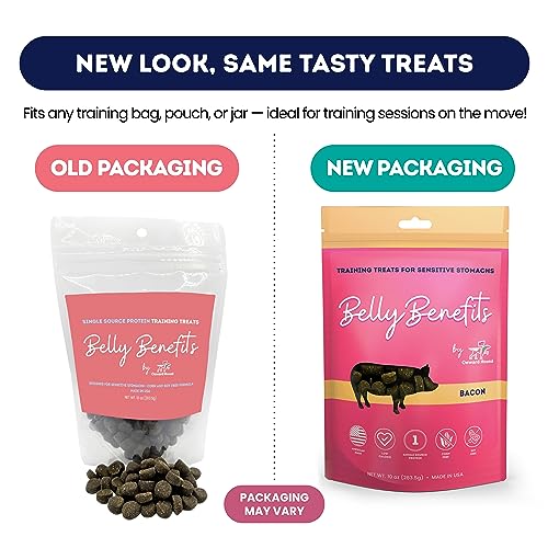 Onward Hound Salmon Training Treats - Low Calorie, Sensitive Stomach - 10 oz