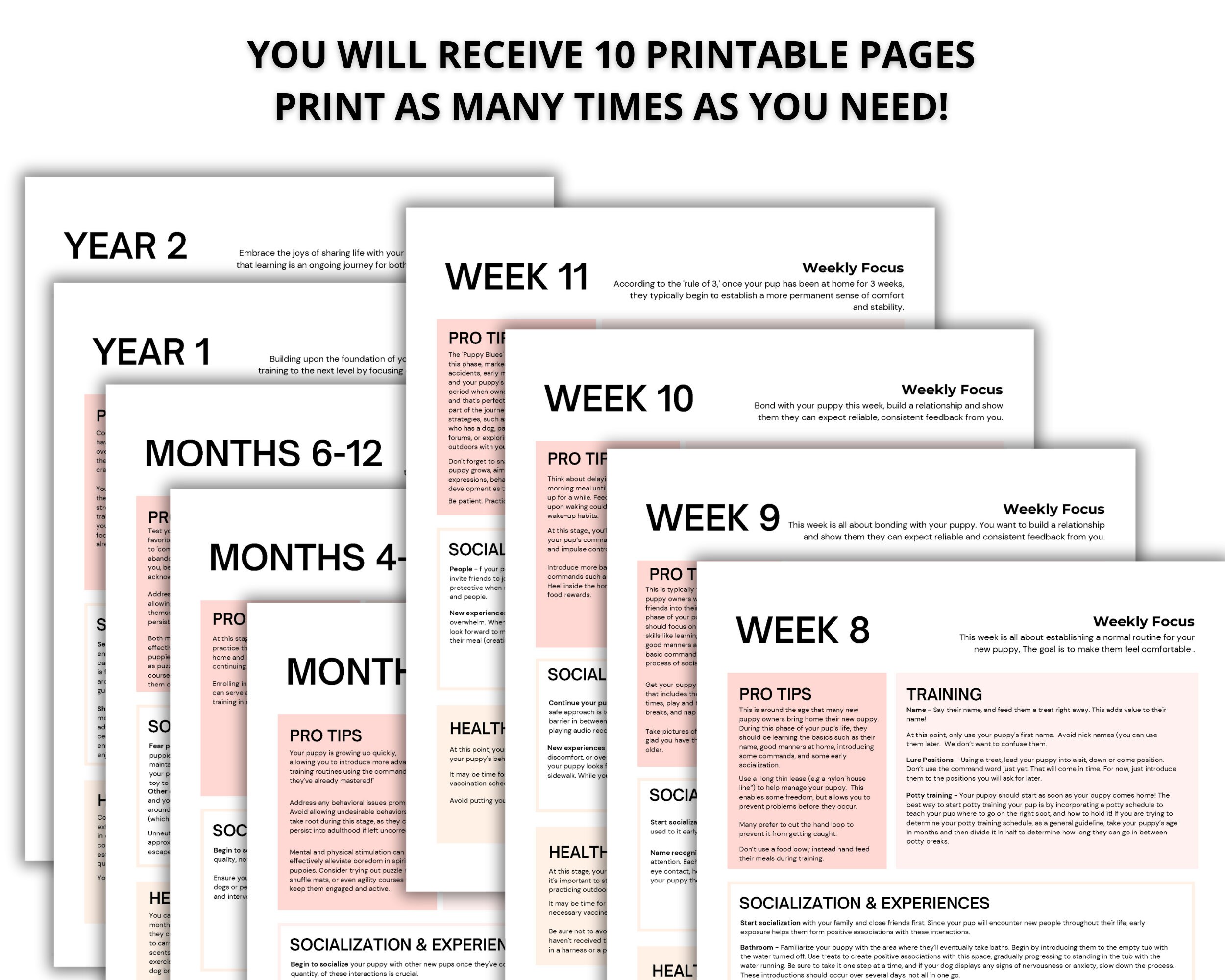 Ultimate Puppy Training Handbook: Printable PDF Sheets