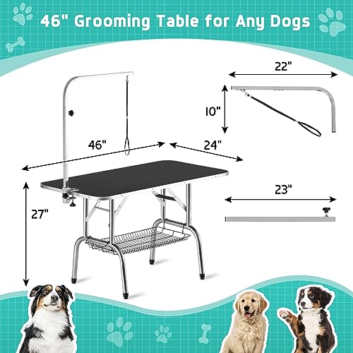 Foldable Black Dog Grooming Table with Adjustable Arm