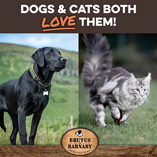 All-Natural Beef Liver Treats - Grain-Free, Ideal for Training