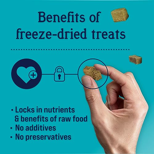 USA Made Chicken Liver Dog Training Treats, Grain Free
