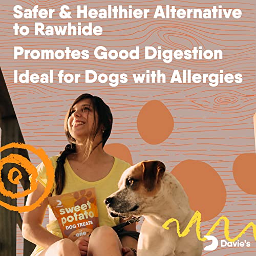Sweet Potato Dog Training Treats - Perfect Vegan Chew