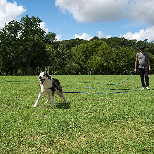 Black 30ft Dog/Puppy Obedience Training Leash - Play, Camping