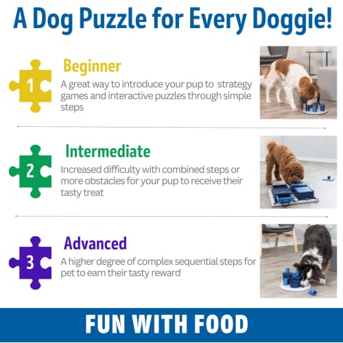 TRIXIE Dog Puzzle Toy: Mad Scientist Strategy Game