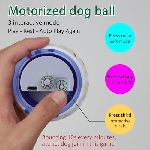 Interactive Dog Toy Bouncy Balls for Endless Fun