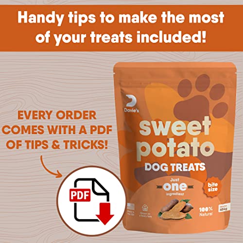 Sweet Potato Dog Training Treats - Perfect Vegan Chew