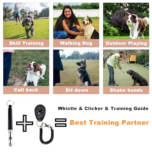 Dog Training Kit: Treat Pouch, Clicker, Whistle (Navy)