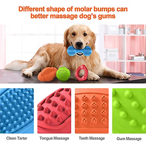 Multipurpose Tough Chew Toys for Small to Large Dogs