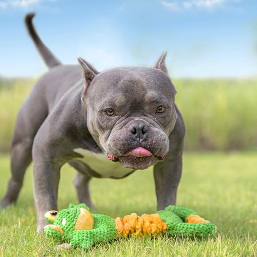 Sedioso Squeaky Dog Toy, Durable Plush Tug-of-War Series