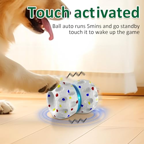 Interactive Dog Toy Bouncy Balls for Endless Fun
