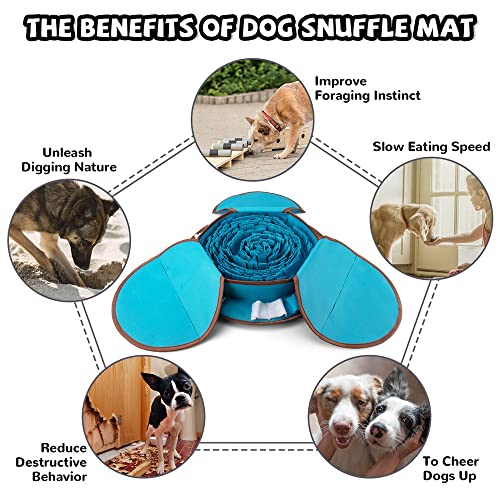 Large Snuffle Mat: Foraging Fun for Your Dog!