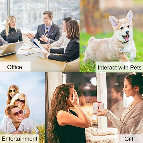 Colorful Dog Communication Buttons - Record, Play, Fun!