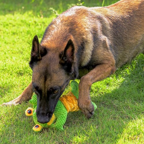Sedioso Squeaky Dog Toy, Durable Plush Tug-of-War Series