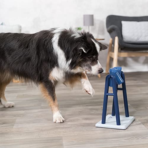 TRIXIE Dog Puzzle Toy: Mad Scientist Strategy Game