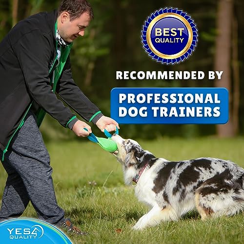 Durable Nylon Dog Tug Toy - Green