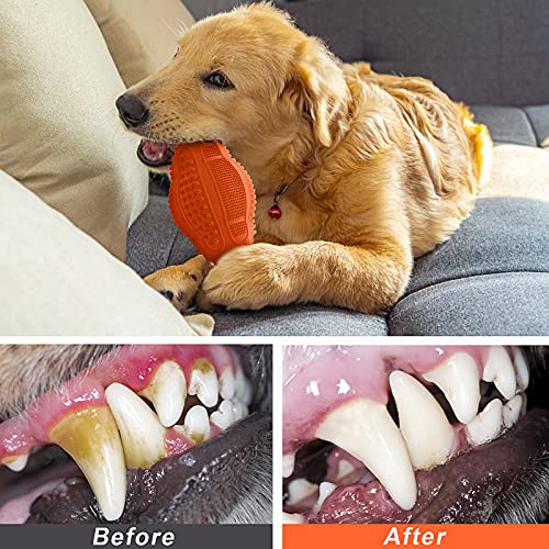 Multipurpose Tough Chew Toys for Small to Large Dogs
