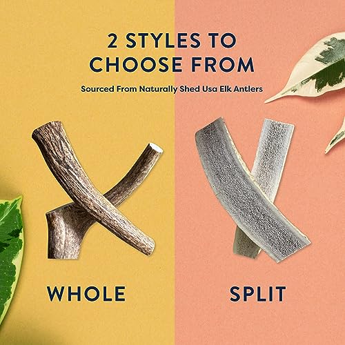 Premium Elk Antler Dog Chews - 2 Pack