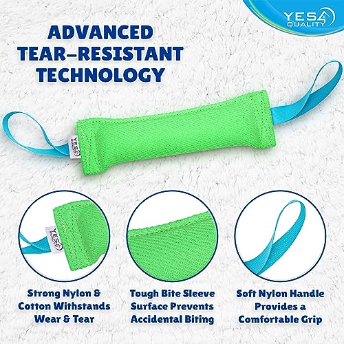 Durable Nylon Dog Tug Toy - Green
