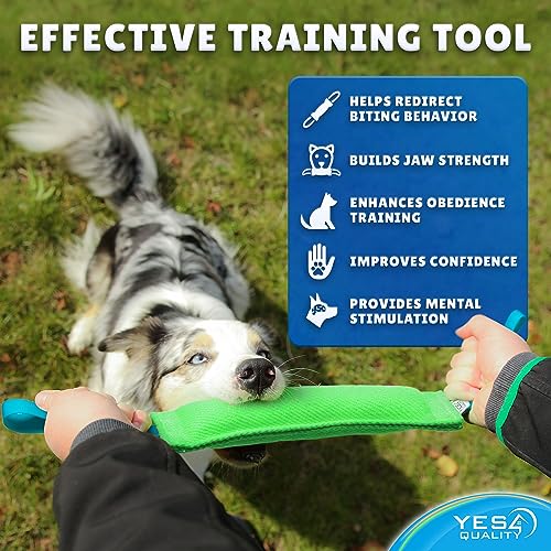 Durable Nylon Dog Tug Toy - Green