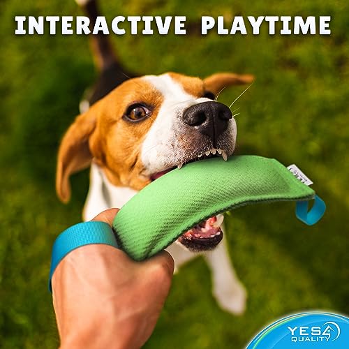 Durable Nylon Dog Tug Toy - Green