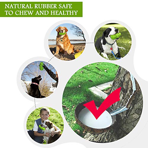 Unbreakable Squeaky Dog Toy - Green, Large