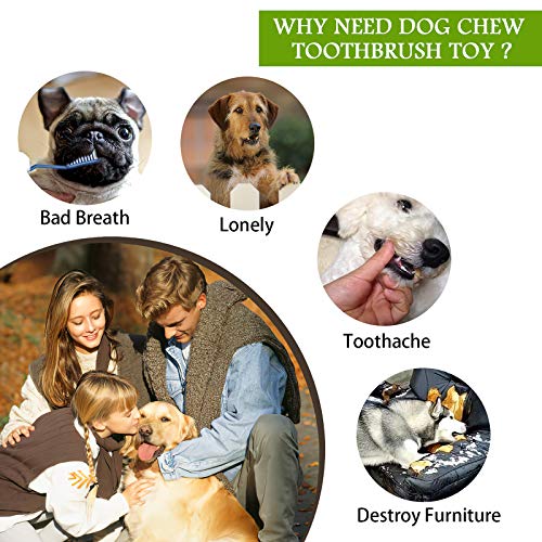 Unbreakable Squeaky Dog Toy - Green, Large