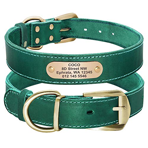 Personalized Leather Collar with Engraved Nameplate for Dogs
