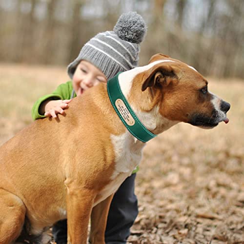 Personalized Leather Collar with Engraved Nameplate for Dogs