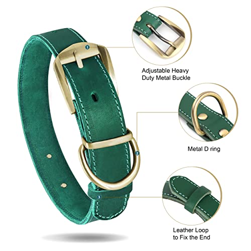 Personalized Leather Collar with Engraved Nameplate for Dogs
