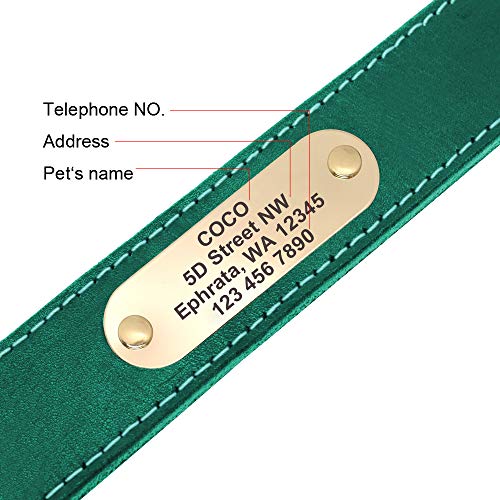 Personalized Leather Collar with Engraved Nameplate for Dogs