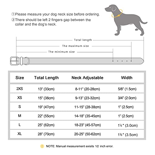 Personalized Leather Collar with Engraved Nameplate for Dogs