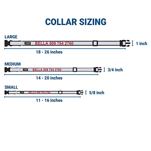 Reflective Personalized Collar: Custom Embroidered for Large Dogs