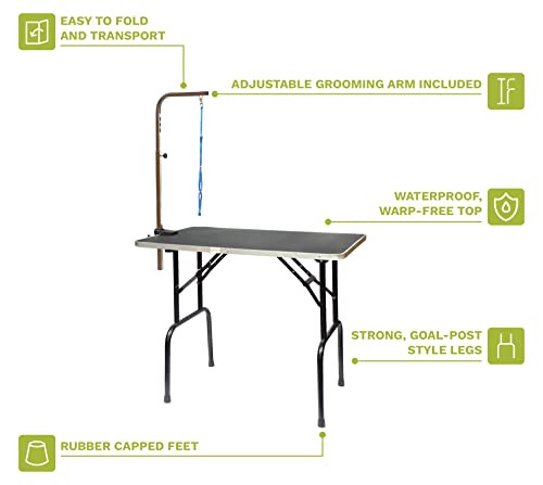 Foldable, Non-Slip Dog Grooming Table - 30-Inch, Black