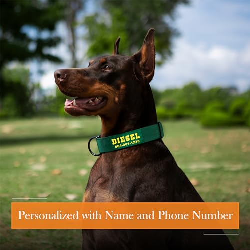 Customizable Tactical Dog Collar for Medium to Large Breeds
