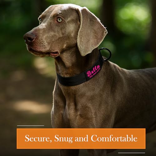 Customizable Tactical Dog Collar for Medium to Large Breeds