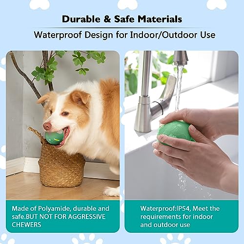 Interactive Dog Toys: Active Rolling Tennis Ball for Dogs