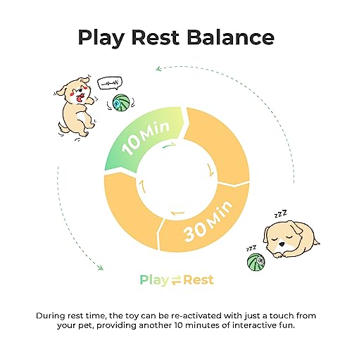 Smart Dog Toy: Interactive, Automatic, Bouncing Ball